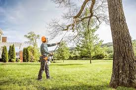 Tree and Shrub Care in Kohler, WI