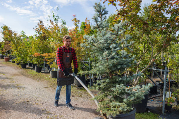 Why Choose Our Tree Removal Services in Kohler, WI?